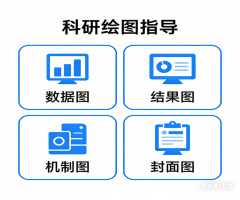 科研绘图指导