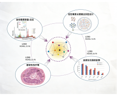 毒理学检测